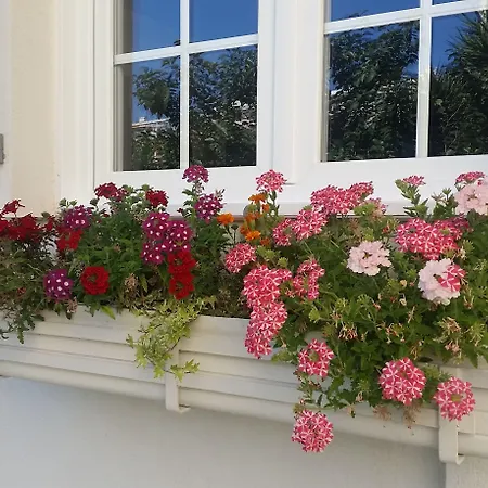 Bed & Breakfast Blanche