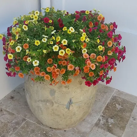 Nocleg ze śniadaniem Blanche Cannes