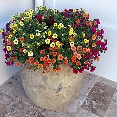 Panzió Blanche 3*