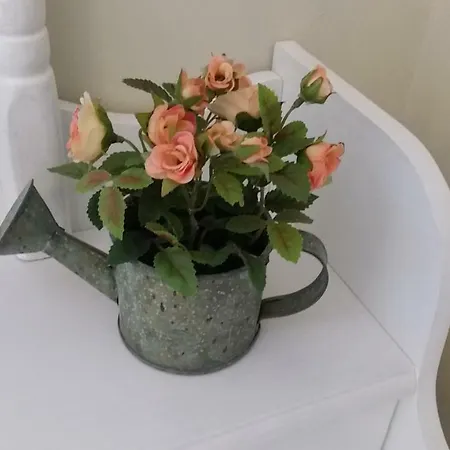 Bed & Breakfast Blanche