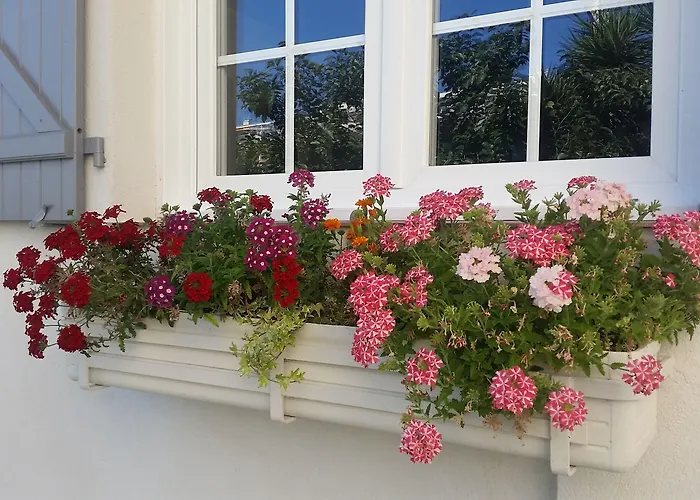 Bed and breakfast Blanche