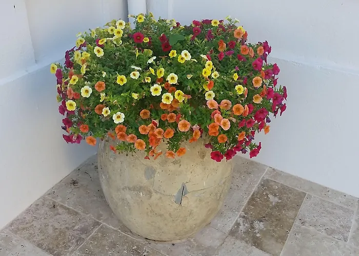 Bed and breakfast Blanche Cannes