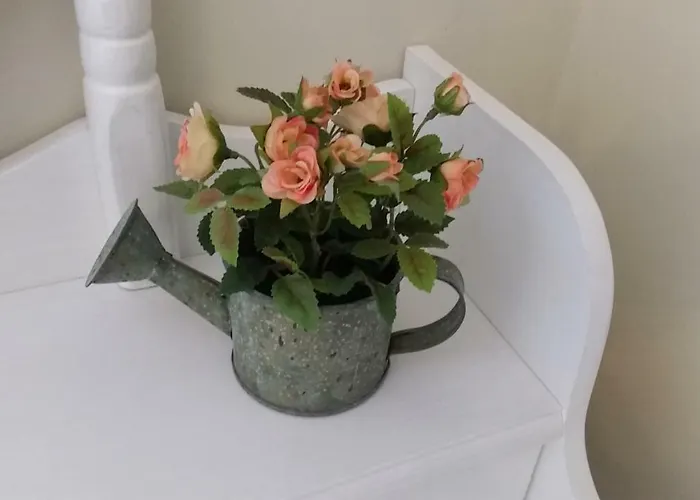 Bed and breakfast Blanche