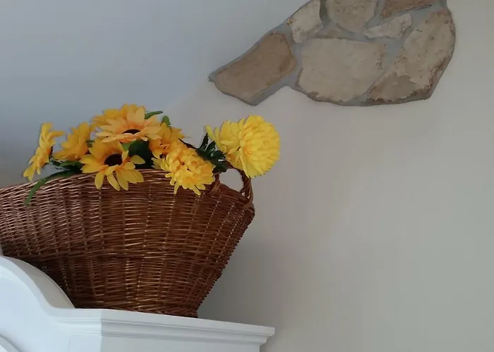 Bed and breakfast Blanche