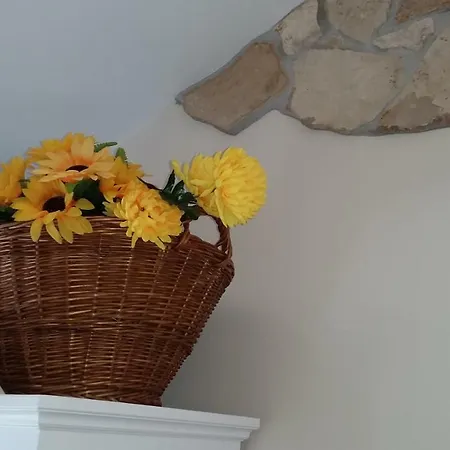 Bed and breakfast Blanche